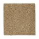 Awaited Delight in Tortoise Comb - Carpet by Mohawk Flooring