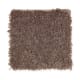 American Tradition in Brown Thrasher - Carpet by Mohawk Flooring