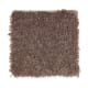 American Tradition in Brown Thrasher - Carpet by Mohawk Flooring