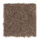 Sassy Arrangement in Rock Wall - Carpet by Mohawk Flooring
