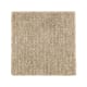 Natural Artistry in Mushroom Cap - Carpet by Mohawk Flooring