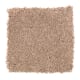 Soft Attraction II in Traditional Tan - Carpet by Mohawk Flooring