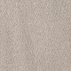 Soft Eloquence in Moon Rock - Carpet by Mohawk Flooring