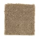 Northern Shores in Corkboard - Carpet by Mohawk Flooring