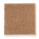 Pleasant Nature in Sweet Nectar - Carpet by Mohawk Flooring