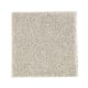 Native Allure I in Raindrop - Carpet by Mohawk Flooring