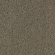 Calming Retreat in Herb Garden - Carpet by Mohawk Flooring