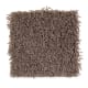 Creative Charm in Thoroughbred - Carpet by Mohawk Flooring