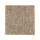 Rustic Luxury in Pine Cone - Carpet by Mohawk Flooring