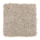 Brilliant Influence in Oyster Shell - Carpet by Mohawk Flooring