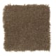 American Legacy in Brown Thrasher - Carpet by Mohawk Flooring