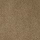 Soft Eloquence in Tinderbox - Carpet by Mohawk Flooring
