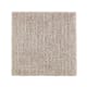Rustic Luxury in Mineral Grey - Carpet by Mohawk Flooring