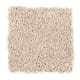 Simply Soft I in Mushroom Cap - Carpet by Mohawk Flooring