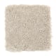 Enticing Objective in Birch Bark - Carpet by Mohawk Flooring