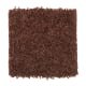 Intelligent Style in October Harvest - Carpet by Mohawk Flooring