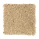 Comfortable Creation I in Soft Bamboo - Carpet by Mohawk Flooring