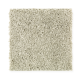 Top Card in Greenhouse - Carpet by Mohawk Flooring