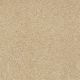 Sandy Hollow Classic I 12' in Cornfield - Carpet by Shaw Flooring
