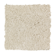 Classic Attraction in Moonbeam - Carpet by Mohawk Flooring