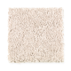 Top Card in Sandcastle - Carpet by Mohawk Flooring
