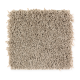 Precious Expression in Winter Leaf - Carpet by Mohawk Flooring
