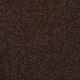 Highland Cove III 15 in Walnut - Carpet by Shaw Flooring