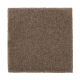 Absolute Elegance II in Nutmeg - Carpet by Mohawk Flooring