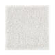 Exquisite Attraction in Celestial - Carpet by Mohawk Flooring