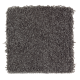 Intriguing Array in Dried Peat - Carpet by Mohawk Flooring