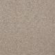 Harborfields I 15' in Fresco - Carpet by Shaw Flooring