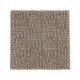 Natural Treasure in Dried Peat - Carpet by Mohawk Flooring