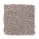 Premier Look in Warm Fog - Carpet by Mohawk Flooring