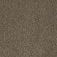 Enjoy The Moment II 15' in Watercress - Carpet by Shaw Flooring