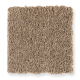 Chic Appearance in Honeysuckle - Carpet by Mohawk Flooring