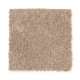 Santorini Style III in Velvet Brown - Carpet by Mohawk Flooring