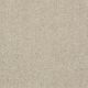 Roadside in Quiet Beige - Carpet by Shaw Flooring