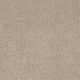 Gold Texture in Townhouse Taupe - Carpet by Shaw Flooring