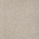 Sandy Hollow Classic I 12' in Soft Shadow - Carpet by Shaw Flooring