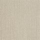 Barrington in Face Powder - Carpet by Shaw Flooring