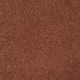 Luxury At Best in Painted Desert - Carpet by Shaw Flooring