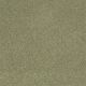 Quiet Comfort I in Rolling Hills - Carpet by Shaw Flooring