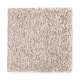 Smart Color in Titanic - Carpet by Mohawk Flooring