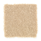 Winward Point in Sugar Cookie - Carpet by Mohawk Flooring