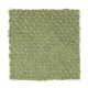 Unification in Willow Wisp - Carpet by Mohawk Flooring