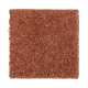 Brilliant Design in Pumpkin Pie - Carpet by Mohawk Flooring
