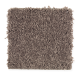 Emerging Image III in Hearthstone - Carpet by Mohawk Flooring