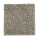 Nature's Appeal II in Evening Shadow - Carpet by Mohawk Flooring