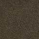 Sandy Hollow I 15' in Tropic Vine - Carpet by Shaw Flooring