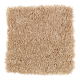 Beautiful Addition in Honey Butter - Carpet by Mohawk Flooring